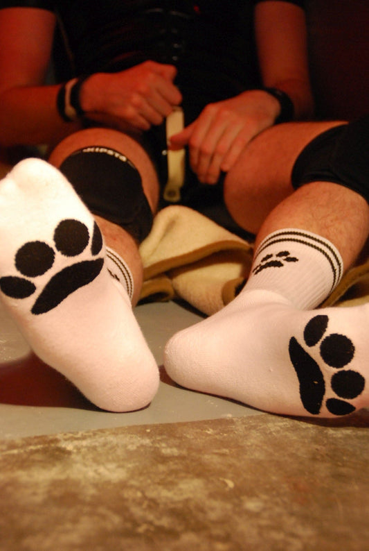 Calcetines de cachorro Sk8erboy®.