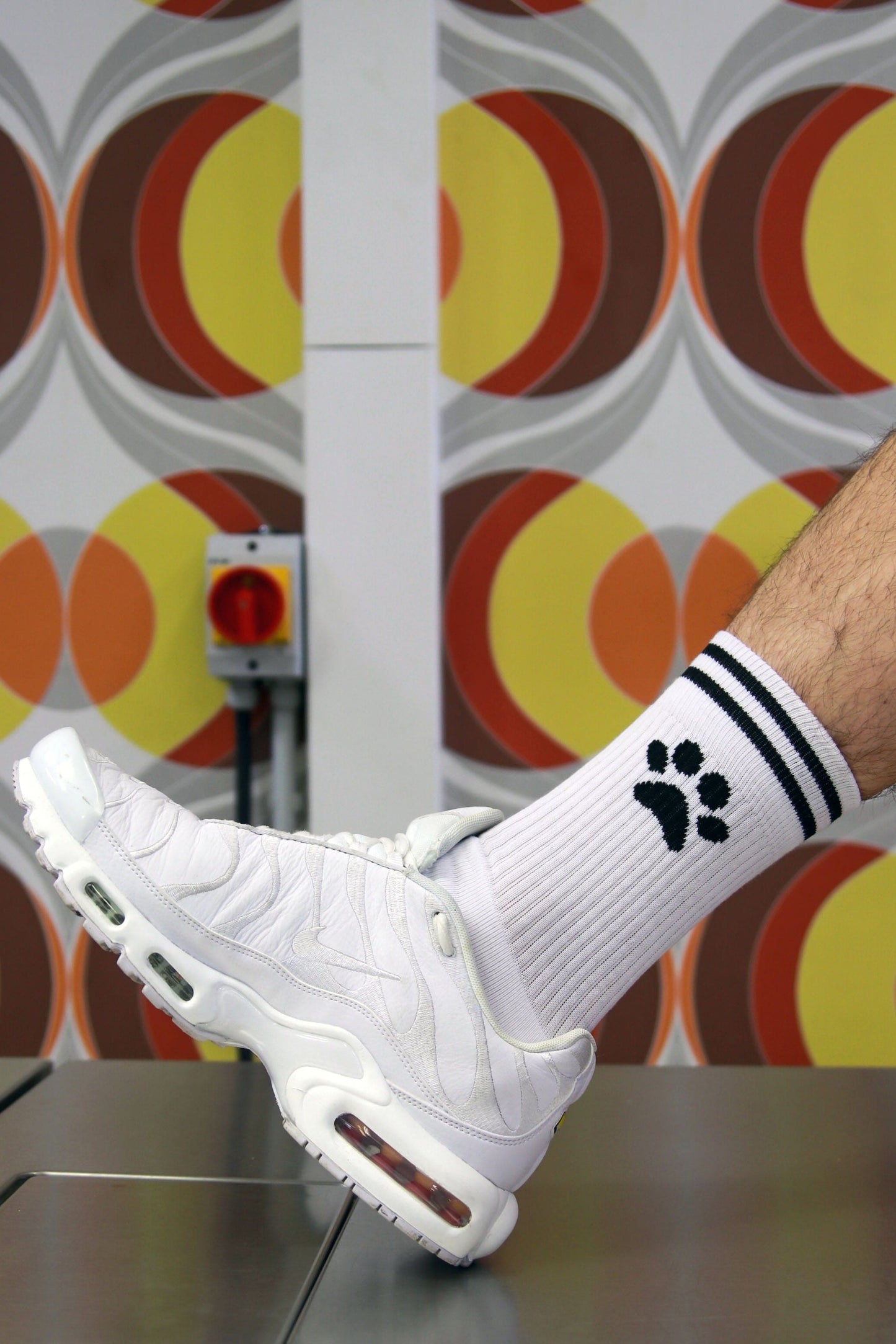 Calcetines de cachorro Sk8erboy®.