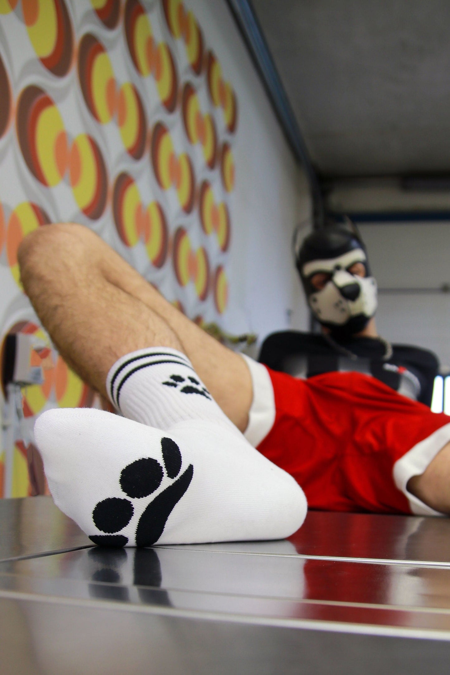 Calcetines de cachorro Sk8erboy®.