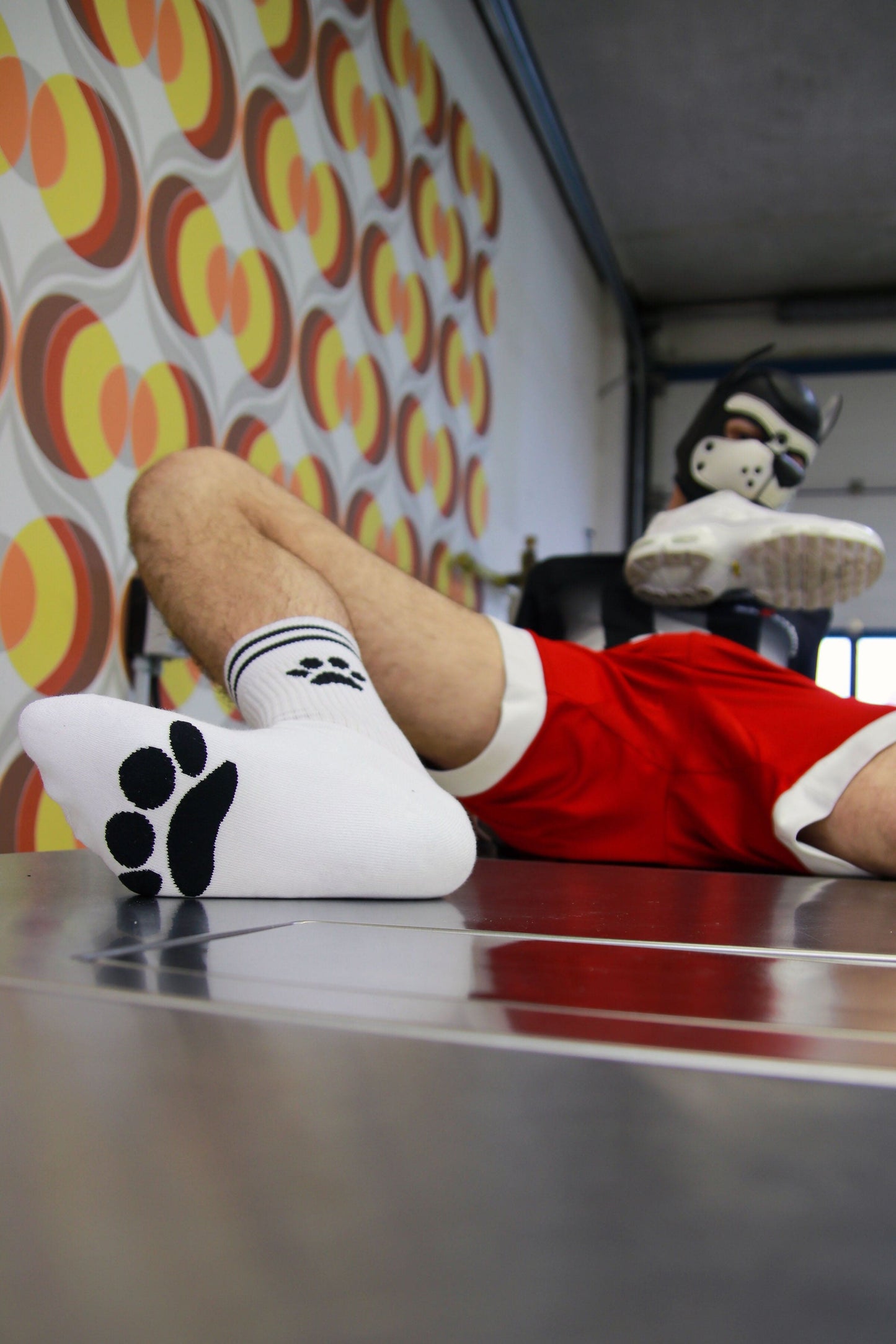 Calcetines de cachorro Sk8erboy®.