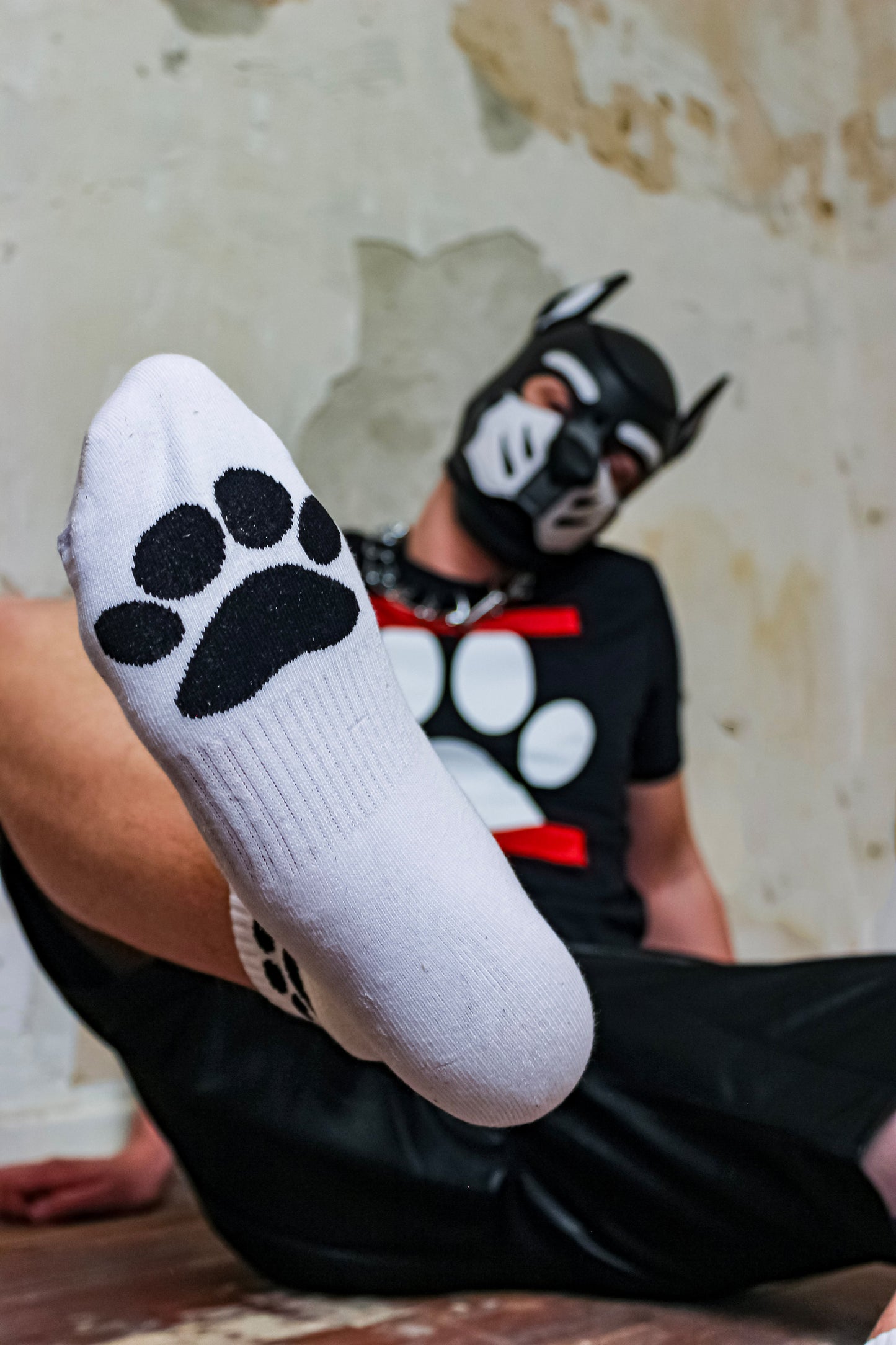 Calcetines de cachorro Sk8erboy®.
