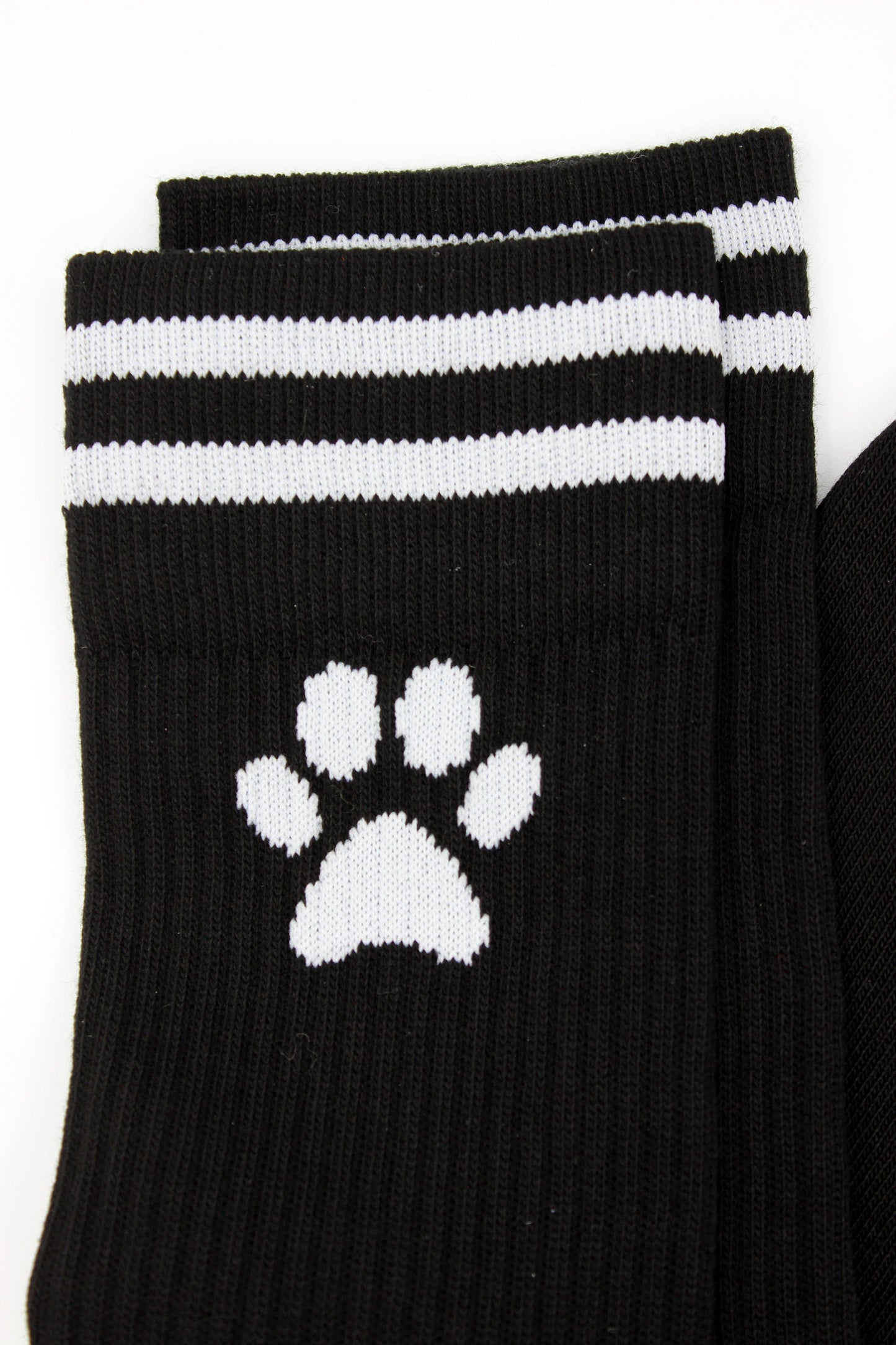 Calcetines de cachorro Sk8erboy®.