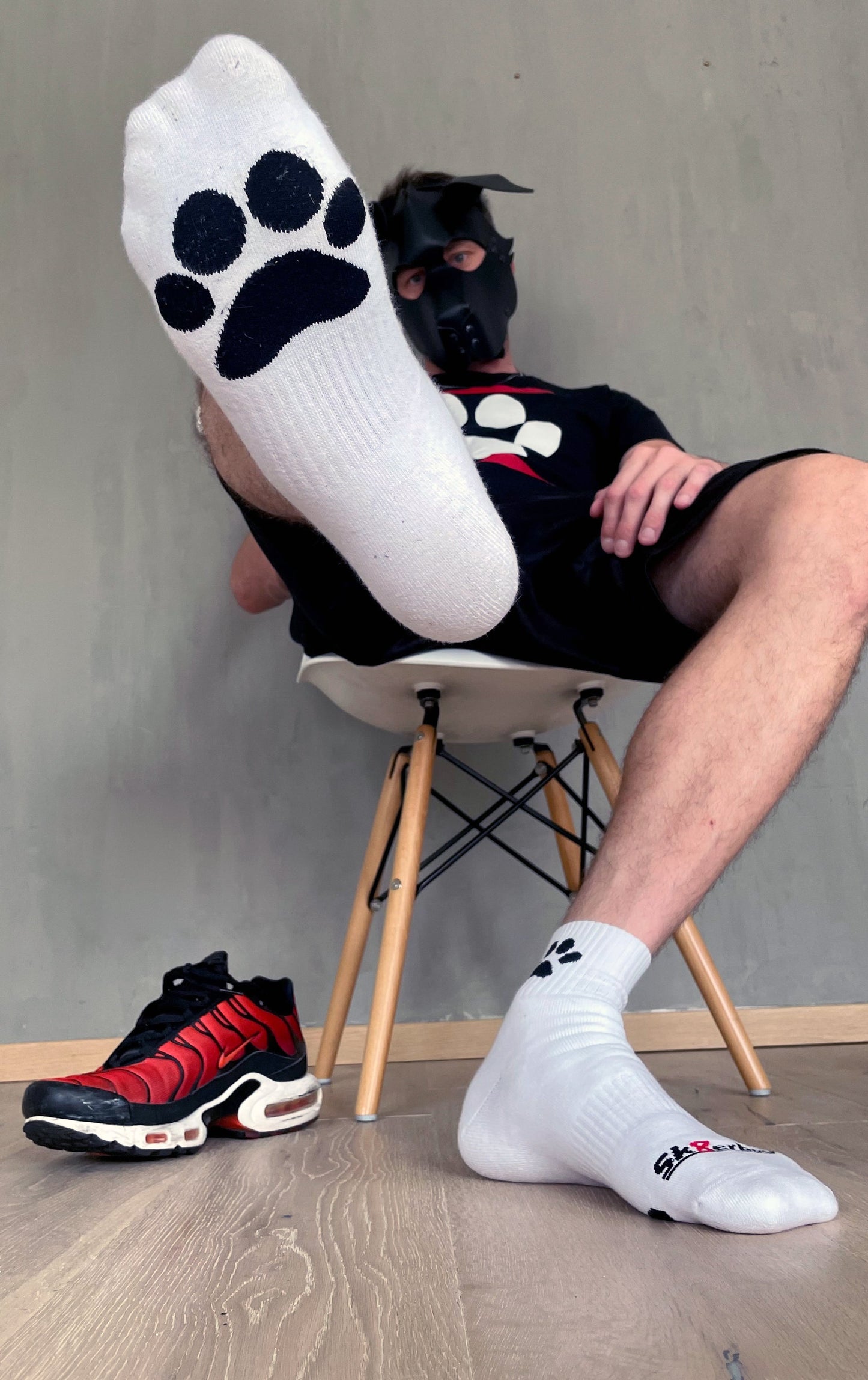Calcetines de cachorro Sk8erboy®.