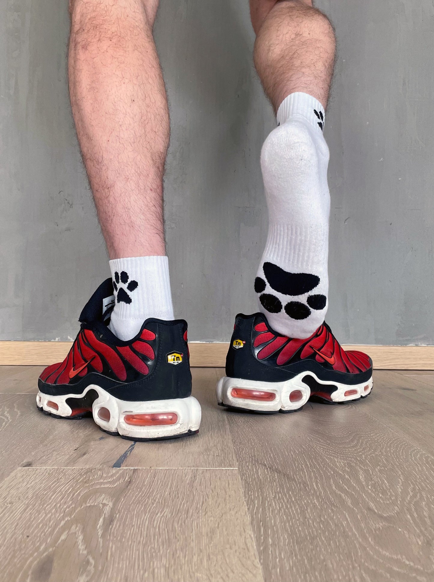 Calcetines de cachorro Sk8erboy®.
