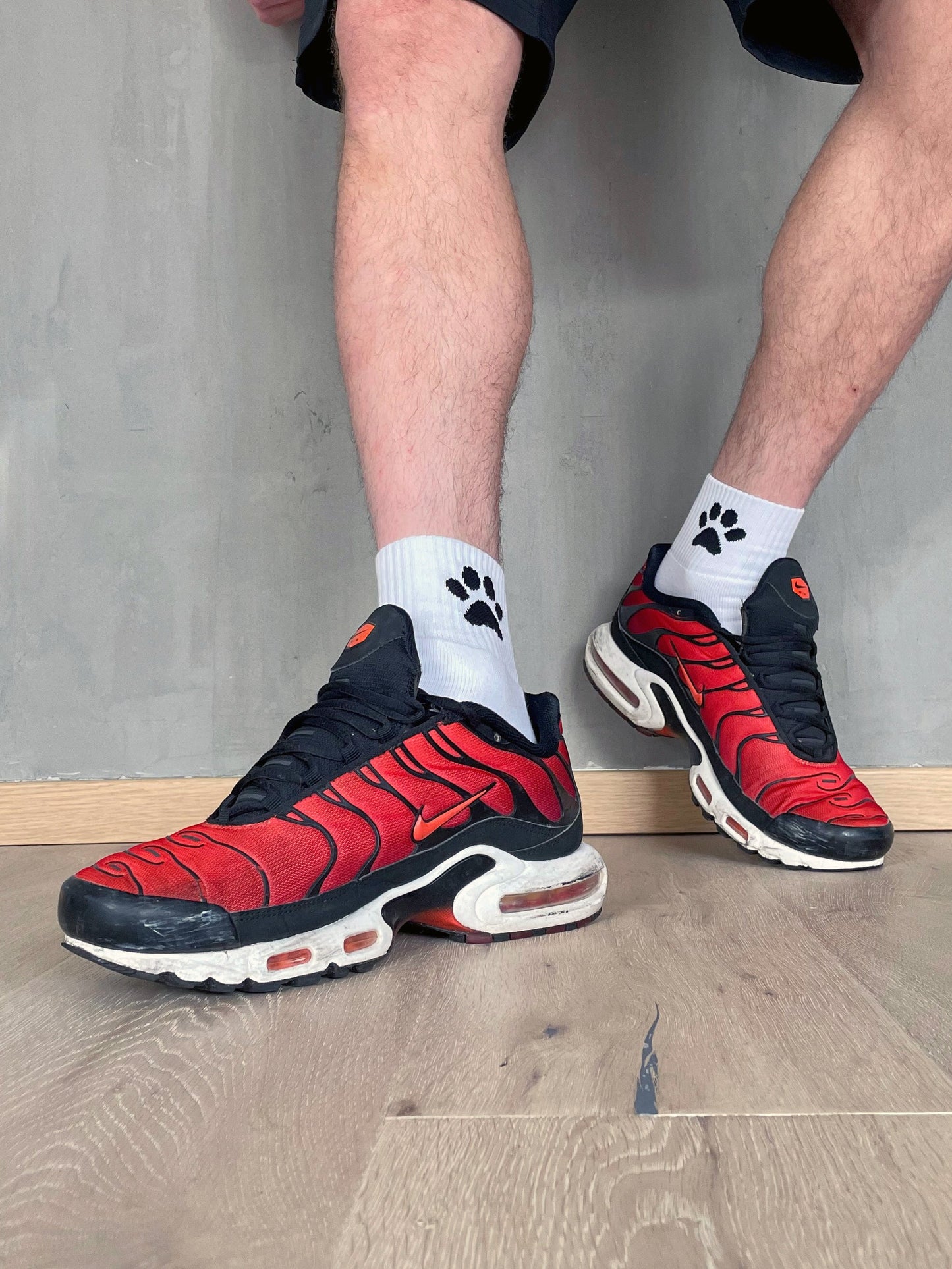 Calcetines de cachorro Sk8erboy®.