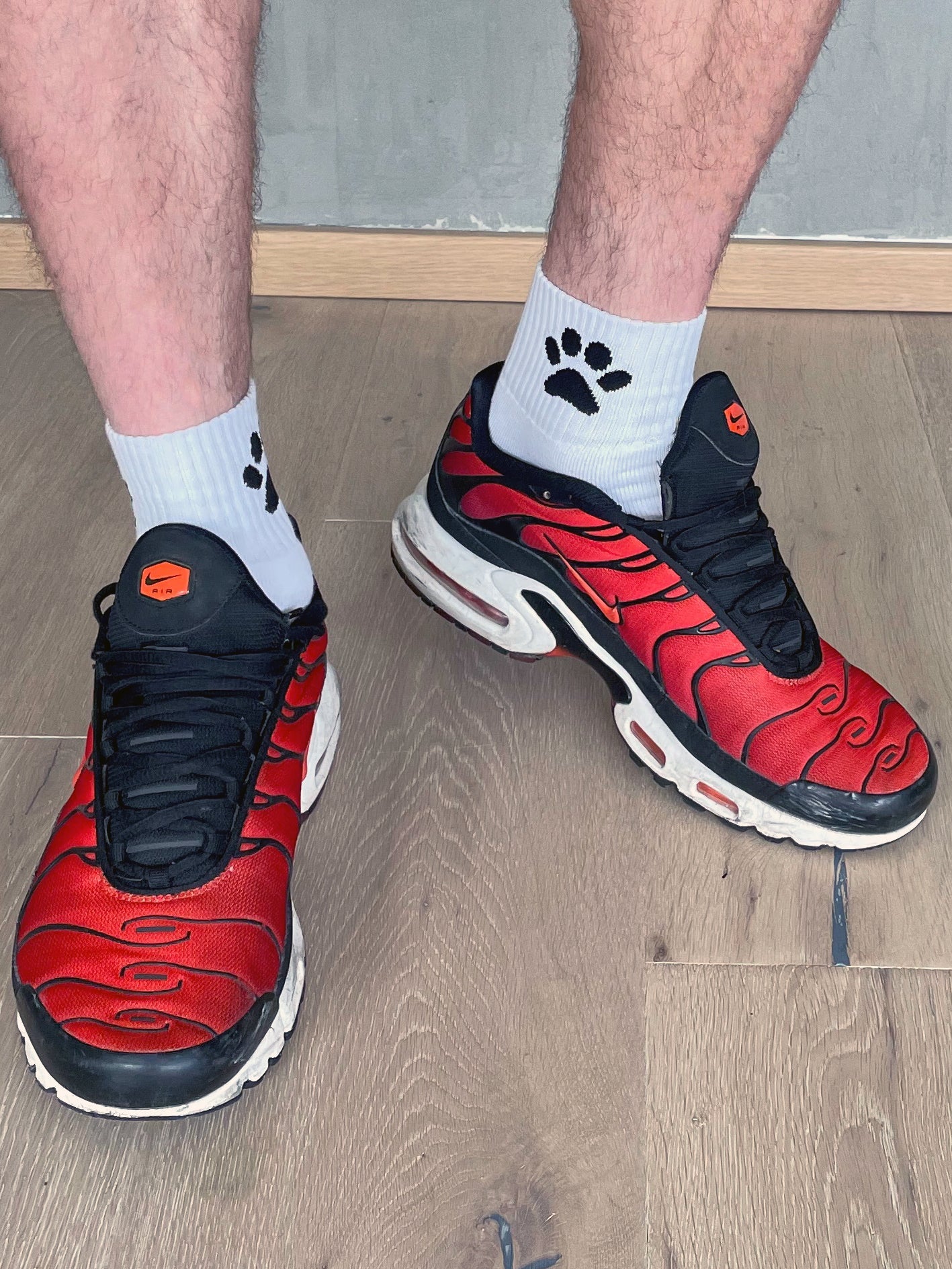 Calcetines de cachorro Sk8erboy®.