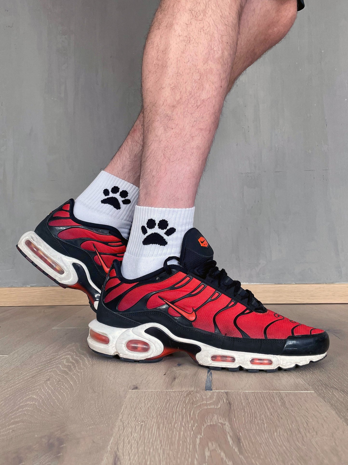 Calcetines de cachorro Sk8erboy®.