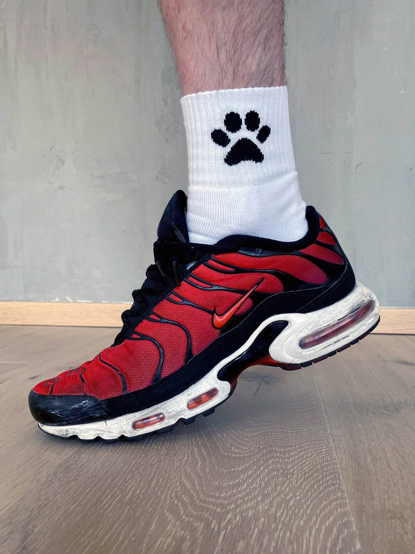 Calcetines de cachorro Sk8erboy®.